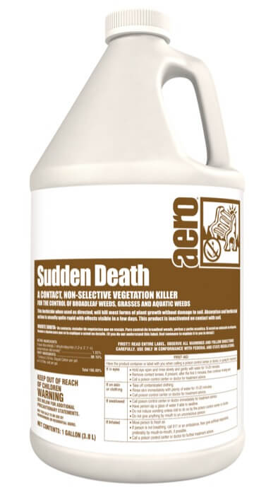 Sudden Death